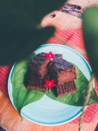 bean brownies, gluten free, nut free, fat free, sugar free, bean brownies cannelini fudge ayurveda vegan plantbased recipe healthy