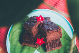 bean brownies, gluten free, nut free, fat free, sugar free, bean brownies cannelini fudge ayurveda vegan plantbased recipe healthy